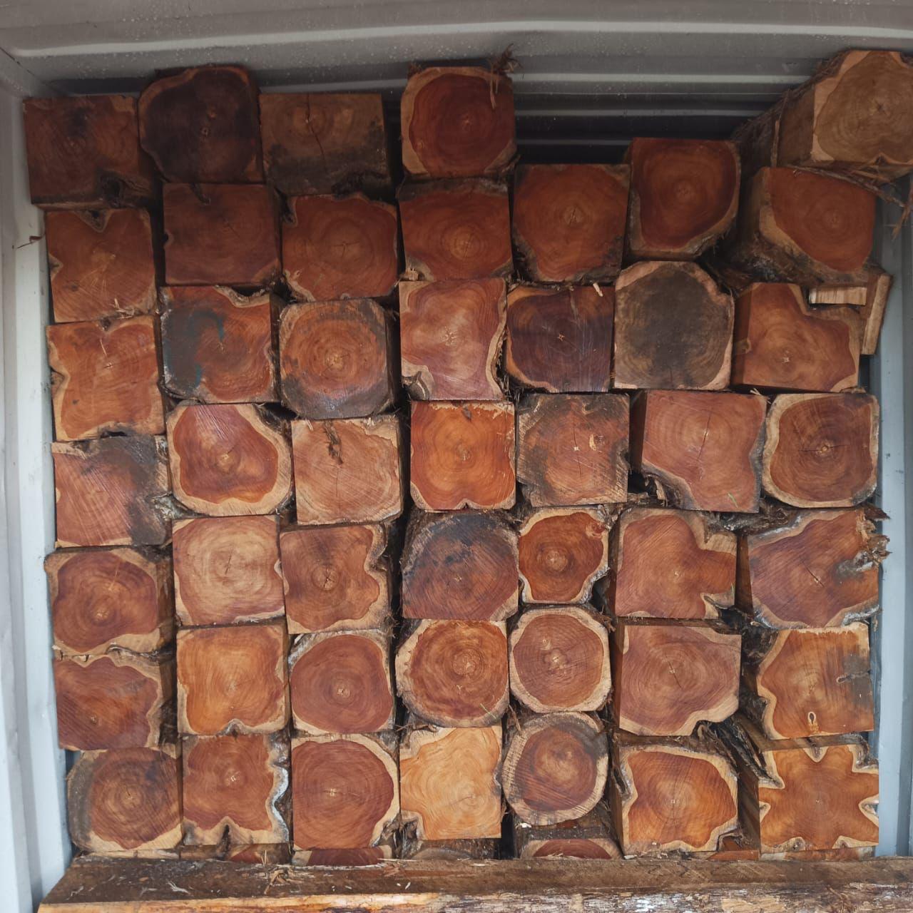 Rough square logs loaded for timber export